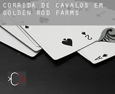 Corrida de cavalos em Golden Rod Farms