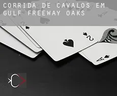 Corrida de cavalos em  Gulf Freeway Oaks