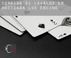 Corrida de cavalos em  Hacienda Los Encino