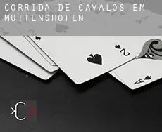 Corrida de cavalos em Muttenshofen