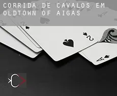 Corrida de cavalos em  Oldtown Of Aigas
