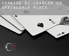 Corrida de cavalos em  Springdale Place
