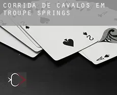 Corrida de cavalos em Troupe Springs