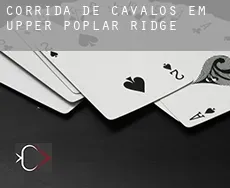 Corrida de cavalos em Upper Poplar Ridge