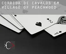 Corrida de cavalos em Village of Peachwood
