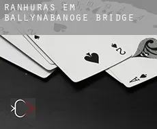 Ranhuras em  Ballynabanoge Bridge