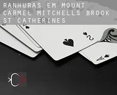 Ranhuras em  Mount Carmel-Mitchells Brook-St. Catherines