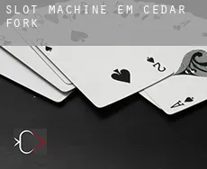 Slot machine em  Cedar Fork
