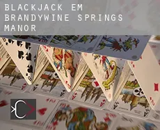 Blackjack em  Brandywine Springs Manor