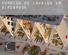 Corrida de cavalos em  Birdbrook