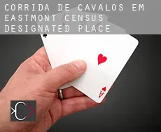 Corrida de cavalos em  Eastmont