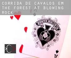 Corrida de cavalos em  The Forest at Blowing Rock