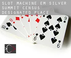 Slot machine em  Silver Summit
