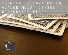 Corrida de cavalos em Avalon Mulat
