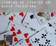 Corrida de cavalos em  Nueva Palestina