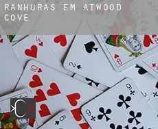 Ranhuras em  Atwood Cove
