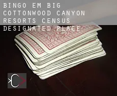 Bingo em  Big Cottonwood Canyon Resorts