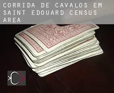 Corrida de cavalos em  Saint-Édouard (census area)